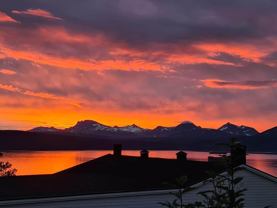 Hoy Standard. Mye For Pengene. Gratis Velkomstgave Narvik Bagian luar foto